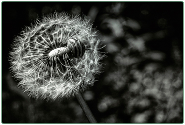 Photography competition