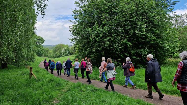 Walk this May