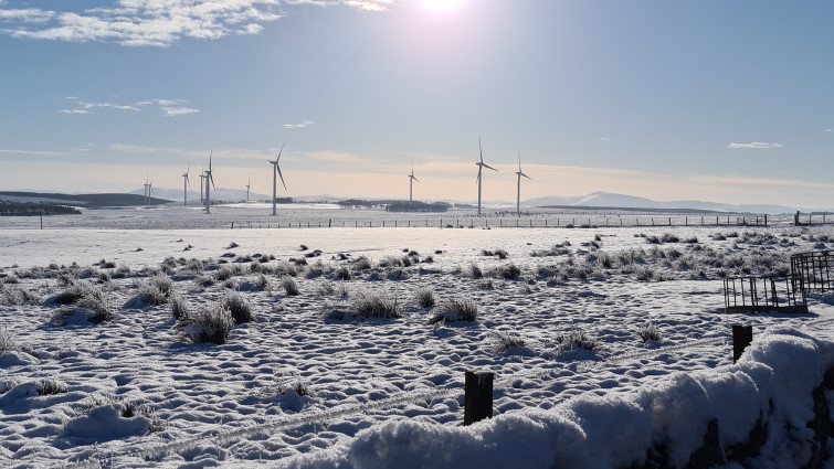 This image shows a rural landscape in winter with wind turbines in the background
