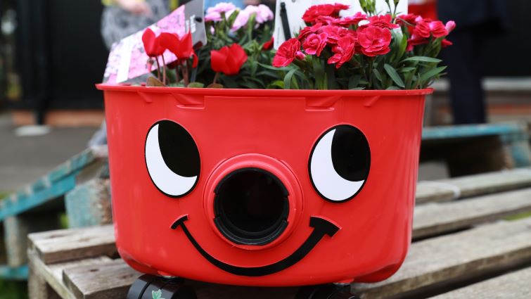 An old Henry vacuum cleaner repurposed as a planter for flowers at Woodhill Nursery, Blackwood.