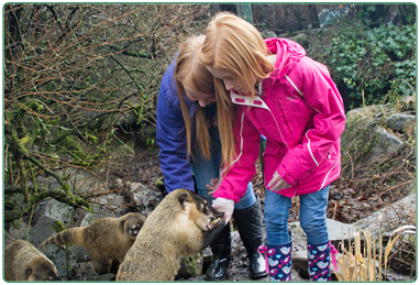 Animal experiences testimonials