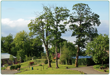 South Lanarkshire Leisure and Culture&#039;s Calderglen Country Park.