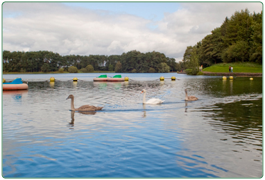 Lanark Loch