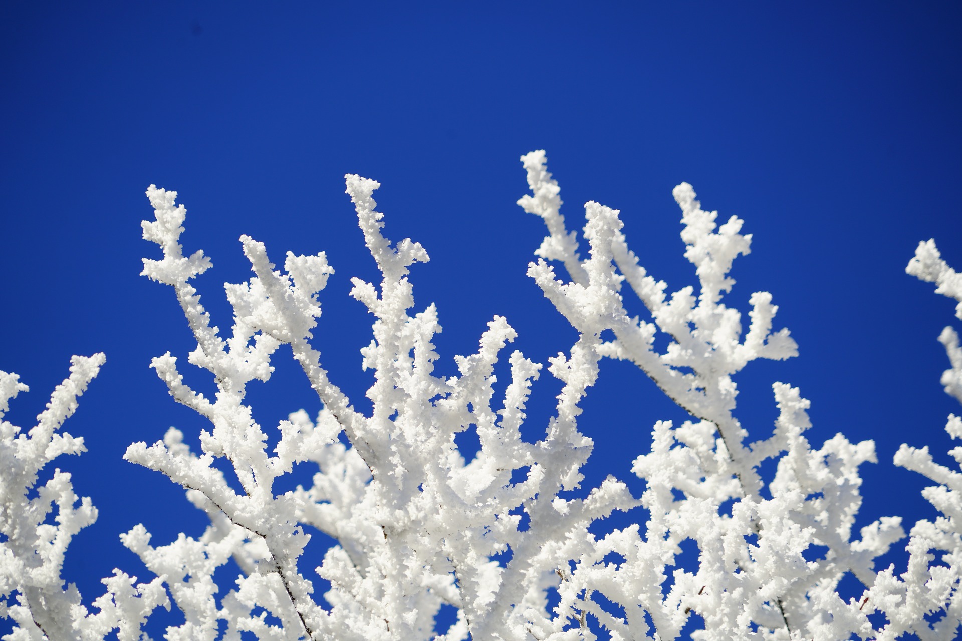 NHS Lanarkshire gets ready for winter