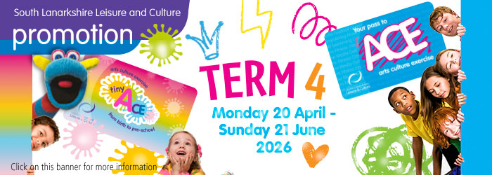 Term 4 ACE / Tiny ACE activities