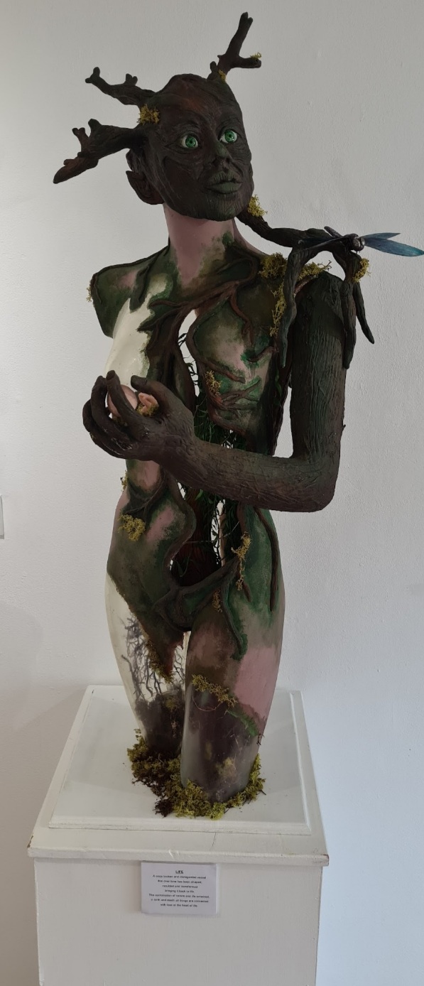 Bring Me To Life image 1