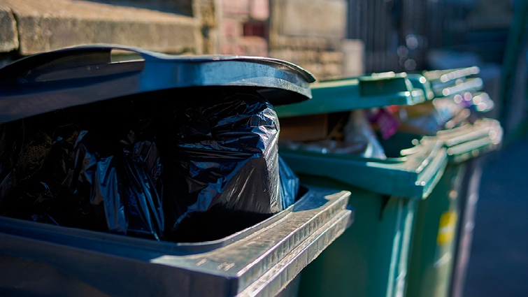 This image shows a selection of rubbish bins for collection