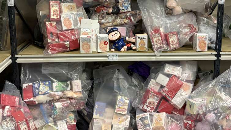some of the 600 counterfeit Labubu Dolls seized by Trading standards officers