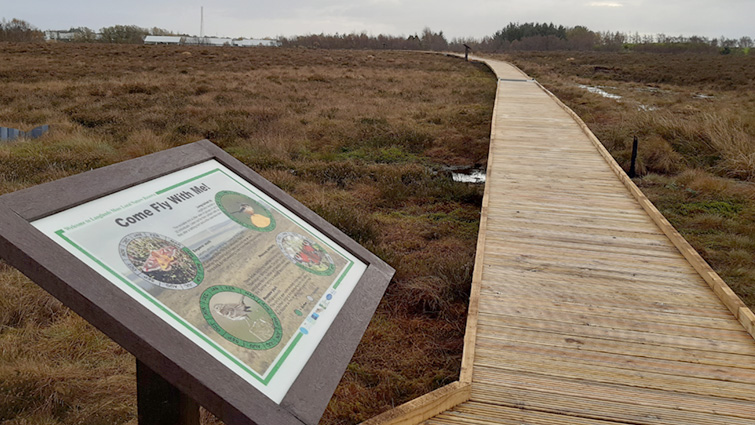 A boardwalk stretches out across a flat moorland, in the foreground to the left a sign gives information about insect life to be found in Langlands Moss Local Nature Reserve