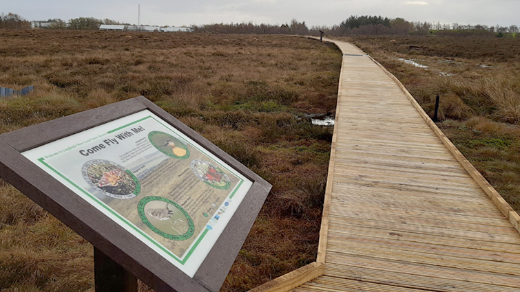 Peatland team will build on Langlands Moss achievements 