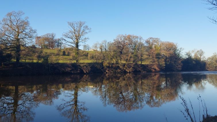 This is an image of part of the Clyde Walkway with water in the foreground and trees in the background