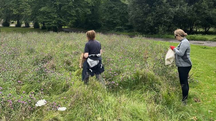 Time to get out and enjoy your local nature reserves