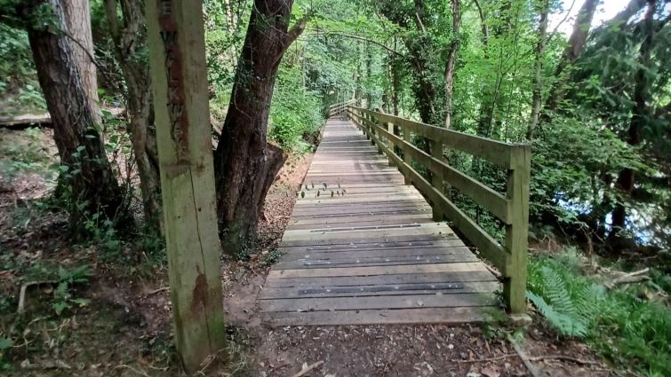 This image shows a section of the Clyde Walkway which has recently undergone improvement works