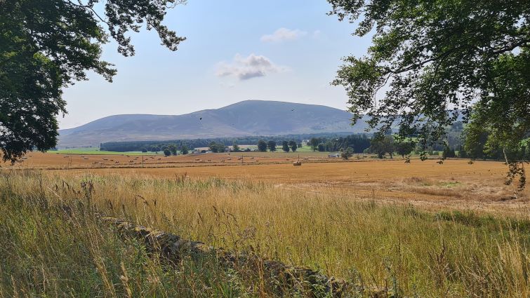 This is a view of Tinto Hill in South Lanarkshire with fields and trees in the foreground