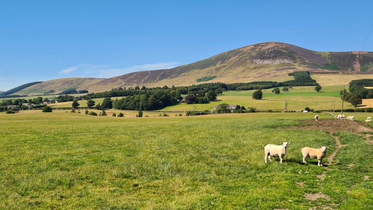 This image shows a generic view of rural South Lanarkshire