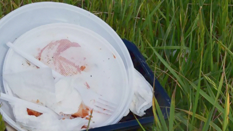 Plastic plate and cutlery lying on grass.